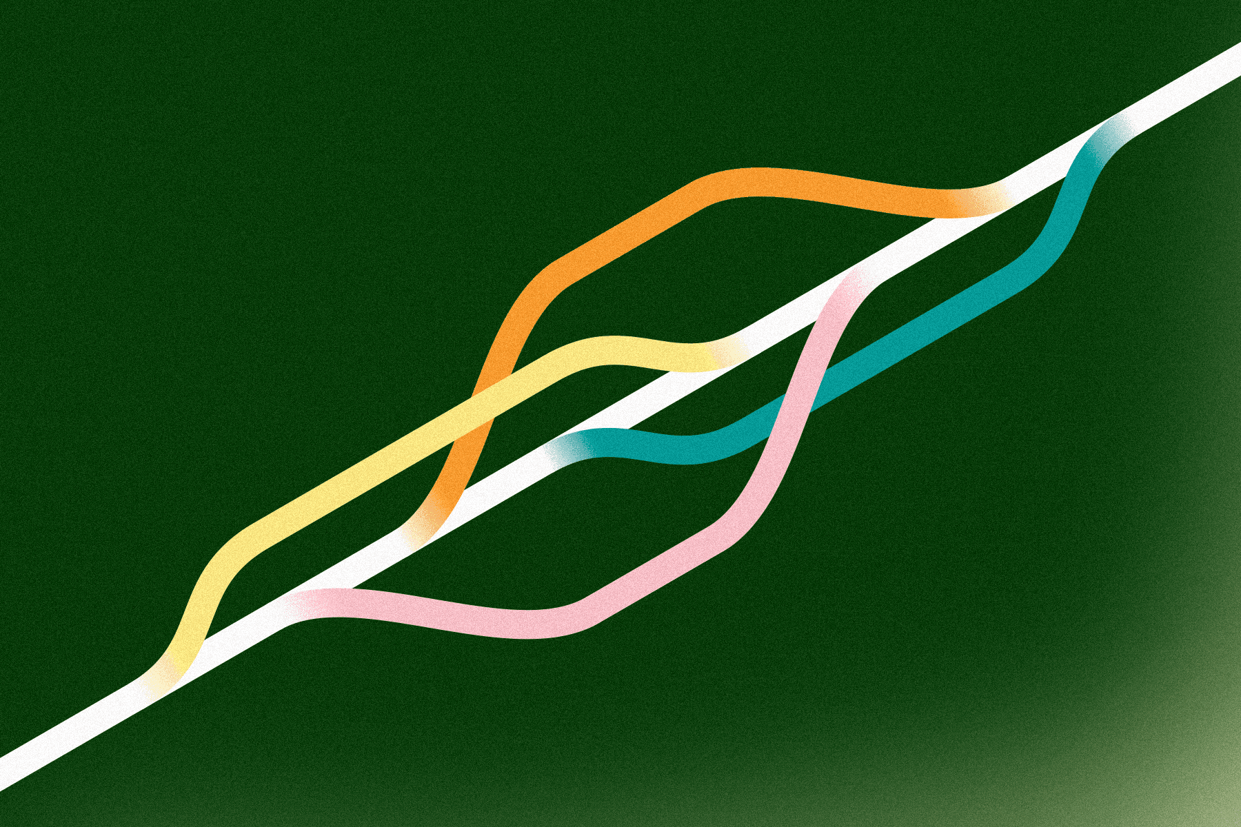 Prepare the hypothesis