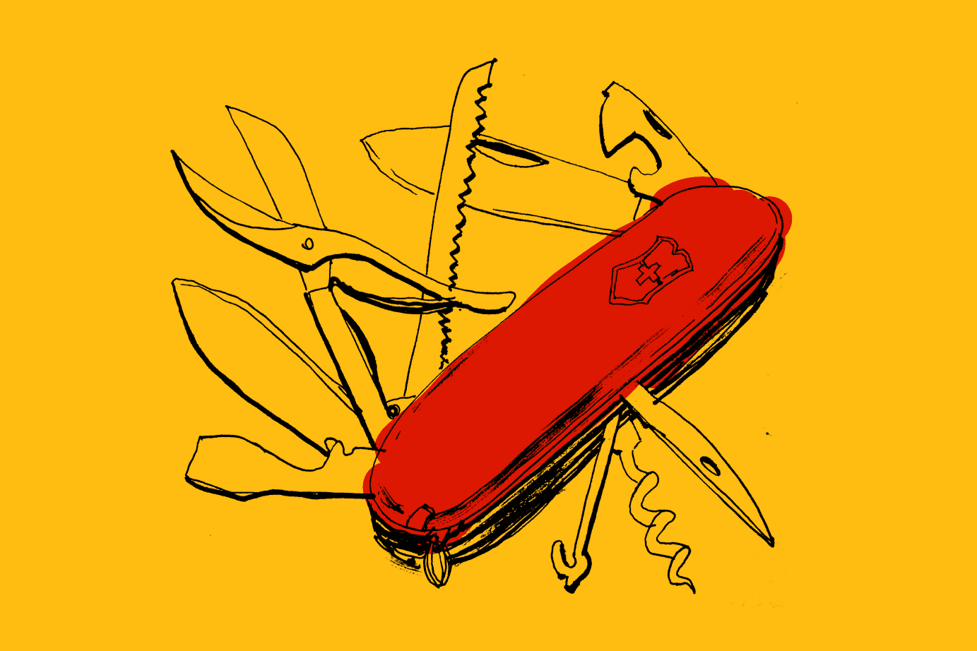 The path of a generalist or the joy of being an amateur